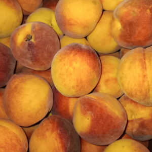 GA/SC Peaches from the Peach Truck