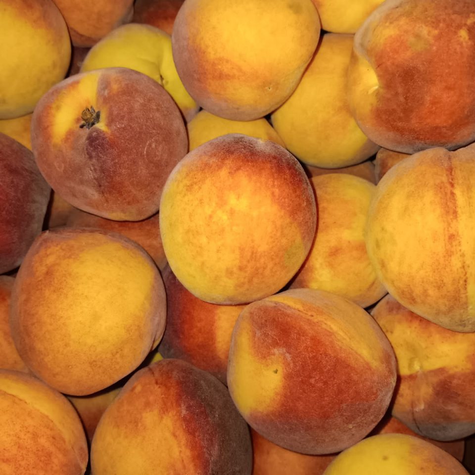 peaches 2