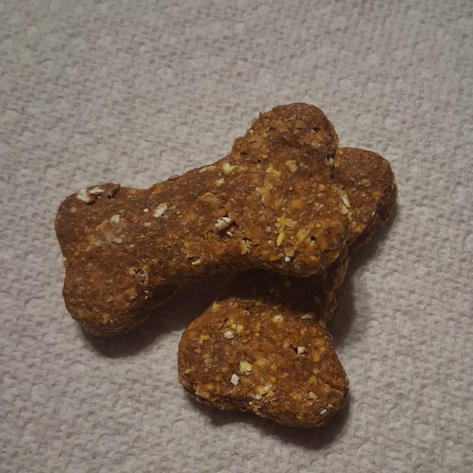 pumpkin bacon